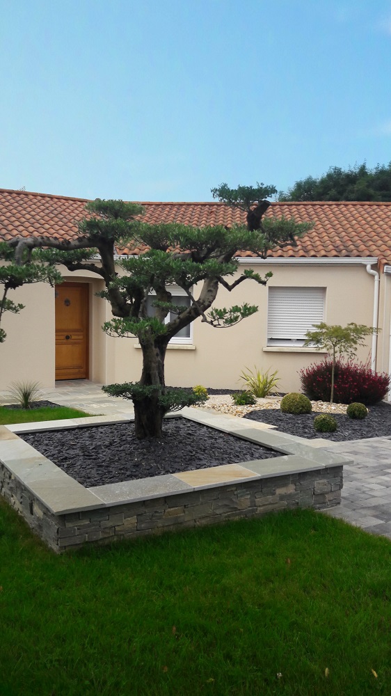 AOPaysage taille arbres